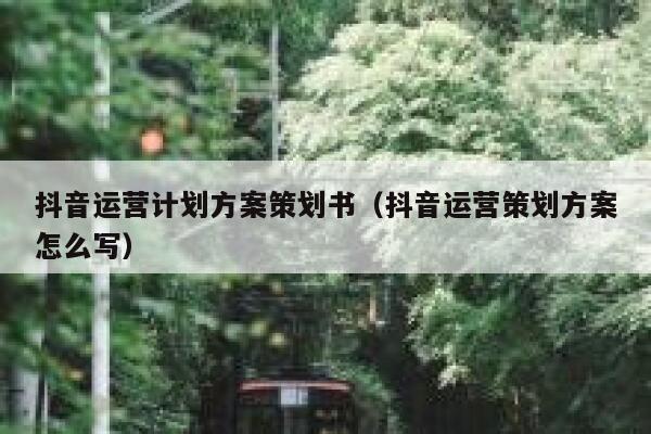 抖音运营计划方案策划书（抖音运营策划方案怎么写）