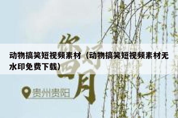 动物搞笑短视频素材（动物搞笑短视频素材无水印免费下载）