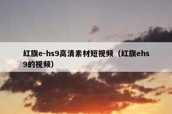 红旗e-hs9高清素材短视频（红旗ehs9的视频）