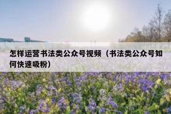 怎样运营书法类公众号视频（书法类公众号如何快速吸粉）