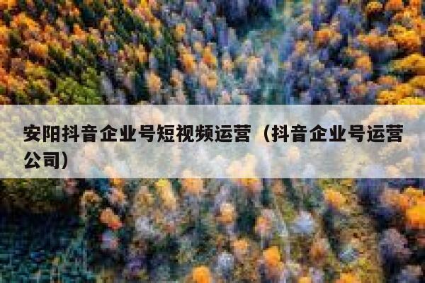 安阳抖音企业号短视频运营（抖音企业号运营公司）