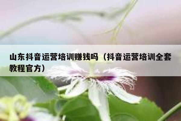 山东抖音运营培训赚钱吗（抖音运营培训全套教程官方）