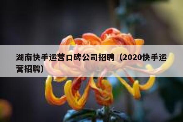 湖南快手运营口碑公司招聘（2020快手运营招聘）