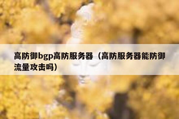 高防御bgp高防服务器（高防服务器能防御流量攻击吗）