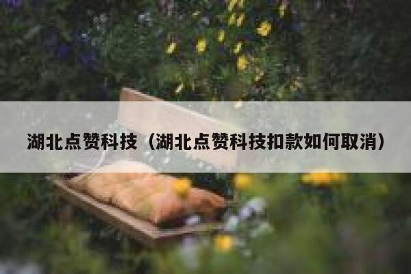 湖北点赞科技（湖北点赞科技扣款如何取消）