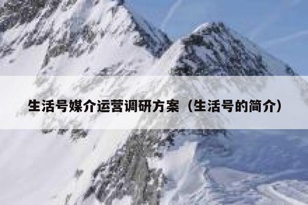 生活号媒介运营调研方案（生活号的简介）