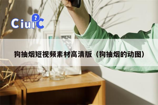 狗抽烟短视频素材高清版（狗抽烟的动图）