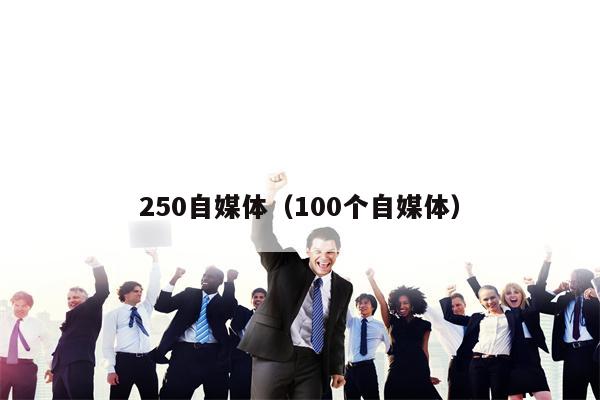 250自媒体（100个自媒体）