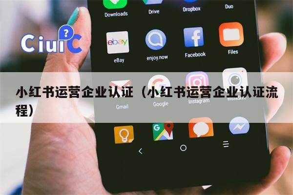 小红书运营企业认证（小红书运营企业认证流程）