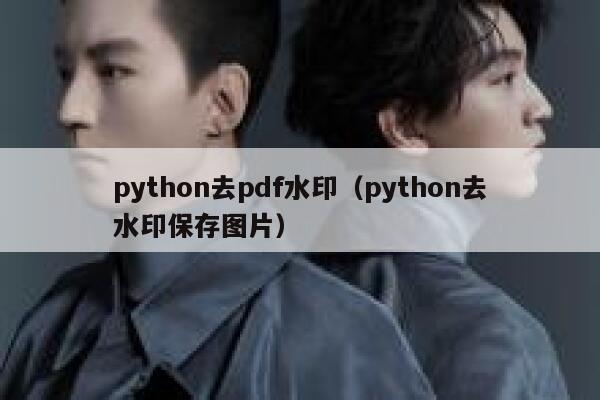 python去pdf水印（python去水印保存图片）