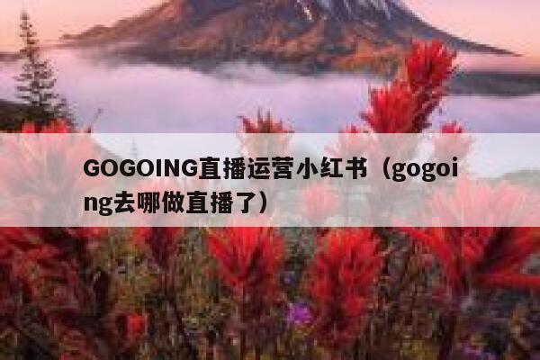 GOGOING直播运营小红书（gogoing去哪做直播了）