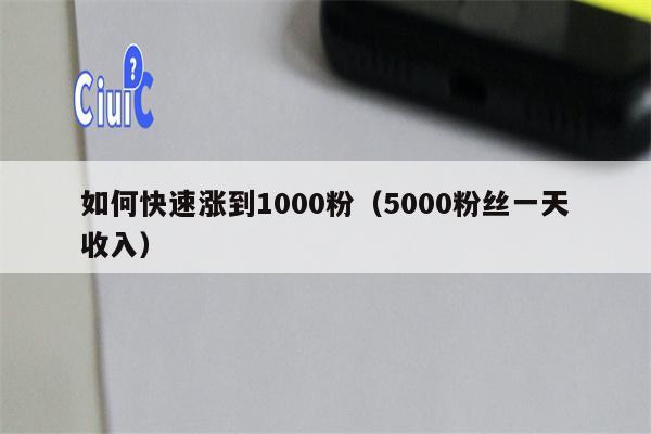 如何快速涨到1000粉（5000粉丝一天收入）