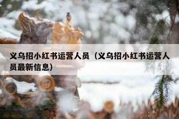 义乌招小红书运营人员（义乌招小红书运营人员最新信息）