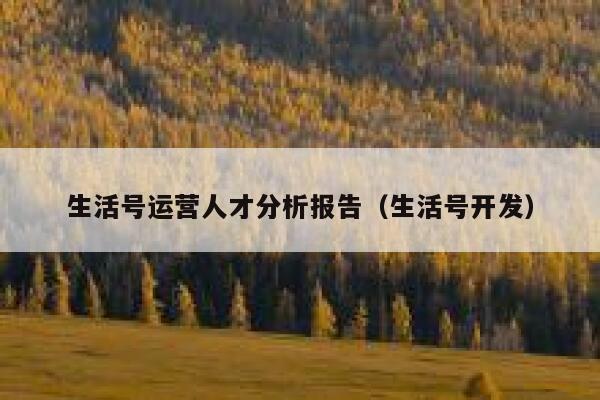 生活号运营人才分析报告（生活号开发）