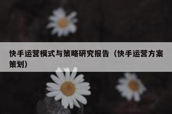 快手运营模式与策略研究报告（快手运营方案策划）