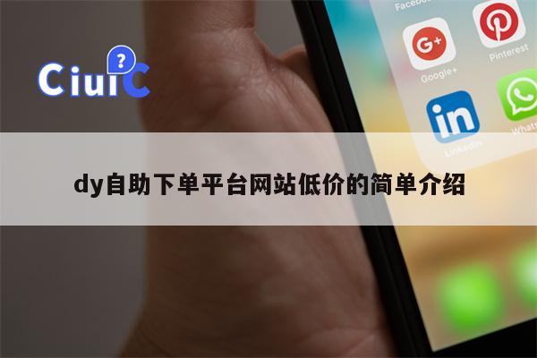 dy自助下单平台网站低价的简单介绍