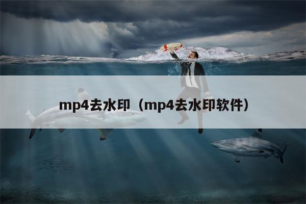 mp4去水印（mp4去水印软件）