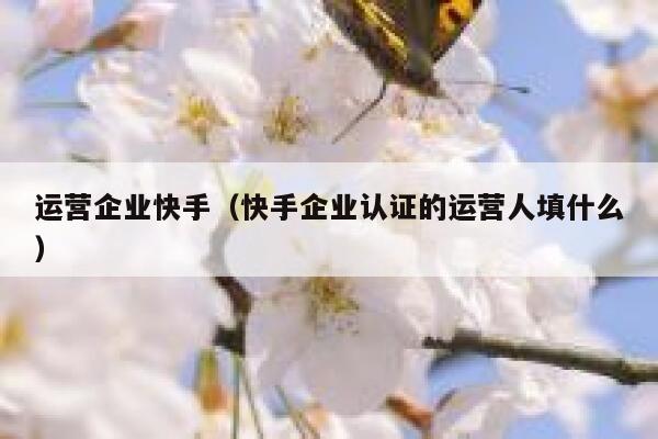 运营企业快手（快手企业认证的运营人填什么）