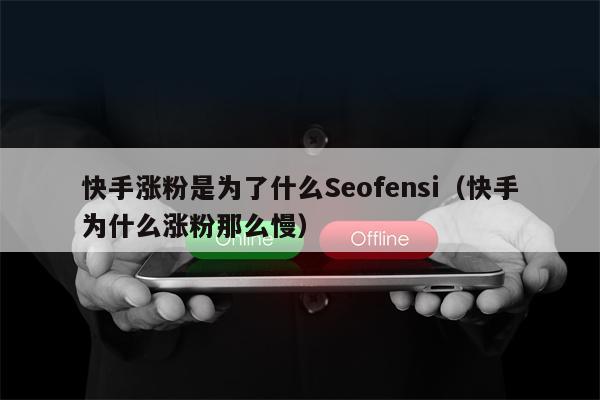 快手涨粉是为了什么Seofensi（快手为什么涨粉那么慢）