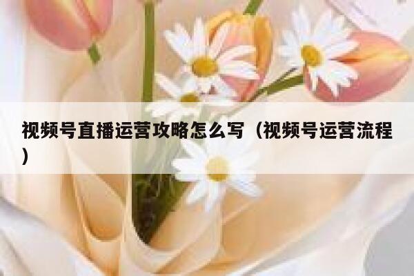 视频号直播运营攻略怎么写（视频号运营流程）