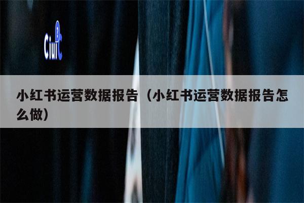 小红书运营数据报告（小红书运营数据报告怎么做）