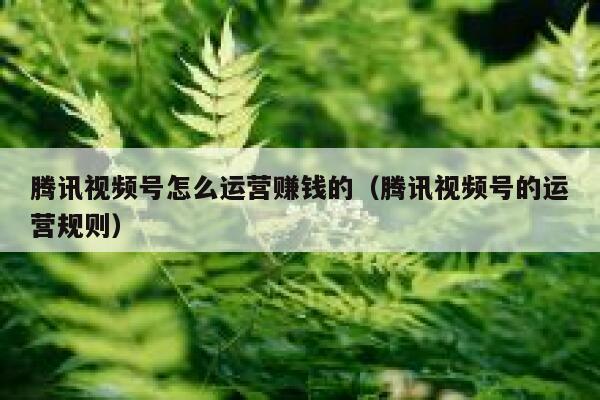 腾讯视频号怎么运营赚钱的（腾讯视频号的运营规则）