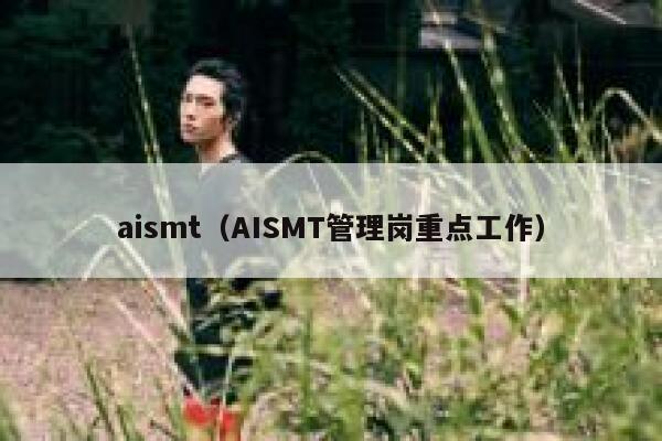 aismt（AISMT管理岗重点工作）