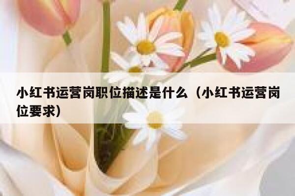 小红书运营岗职位描述是什么（小红书运营岗位要求）